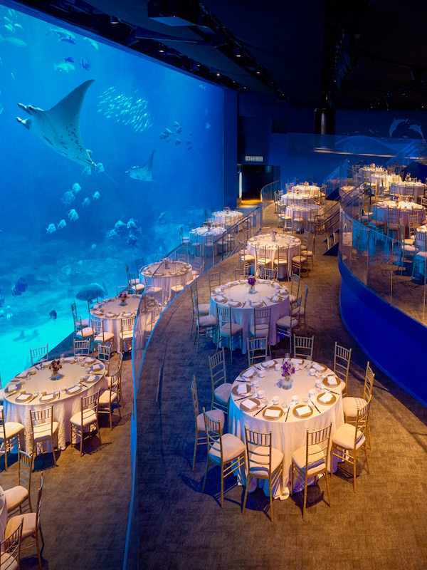 Ocean Gallery, S.E.A. Aquarium